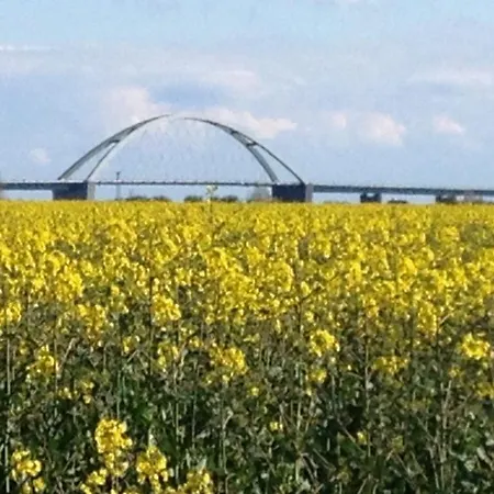 Fehmarn-ostseeferien - Strandblick Fehmarn 183 Lägenhet *
